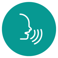 speech icon